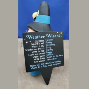 Weather Ornament